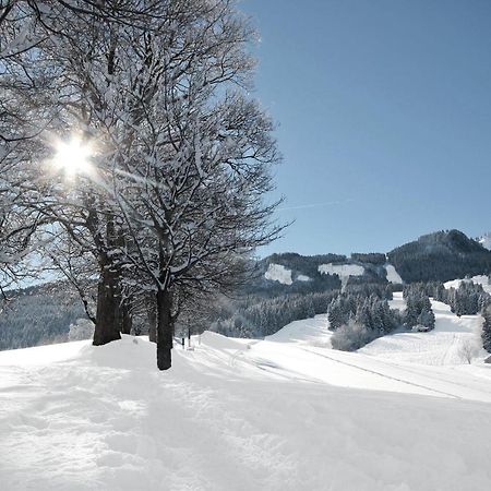 Appartement Falkenstein Nesselwang Esterno foto